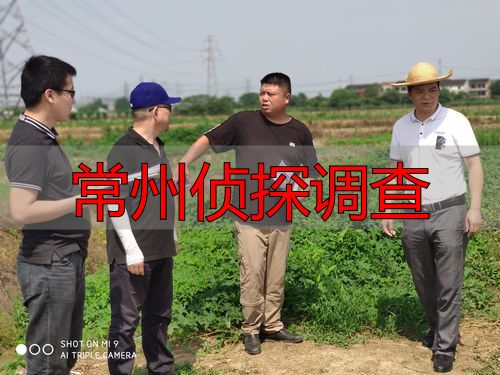 常州侦探调查