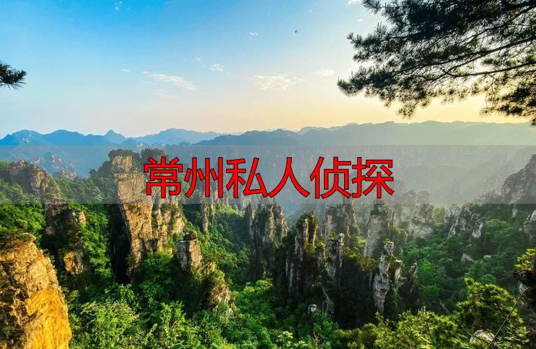 常州私人侦探