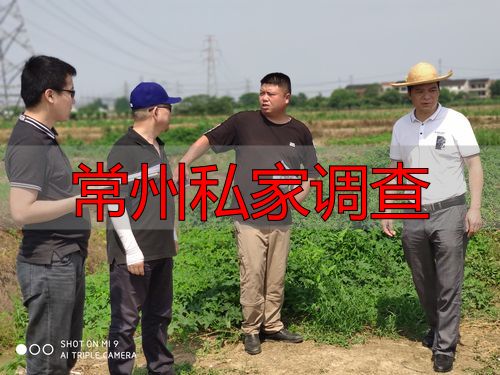 常州私家调查