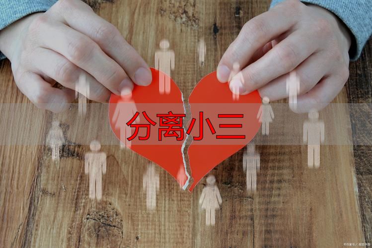 分离小三