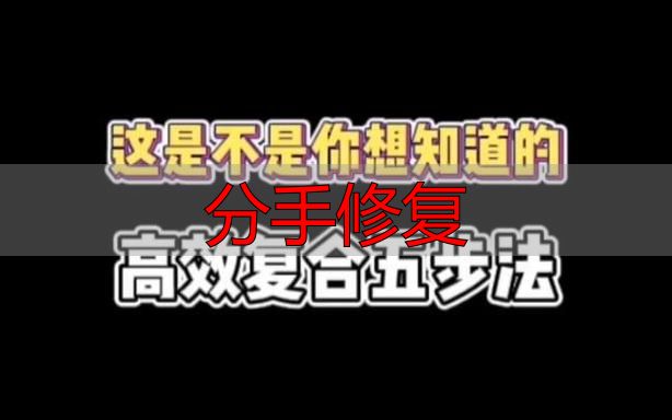 分手修复