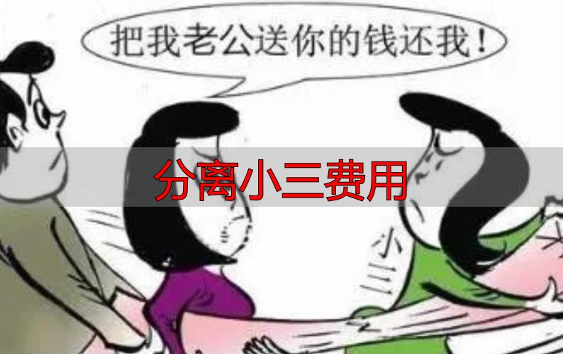 分离小三费用