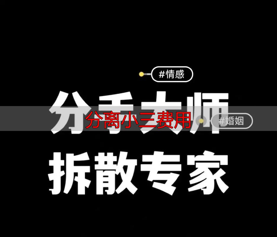 分离小三费用