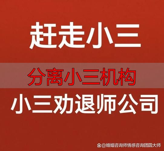 分离小三机构