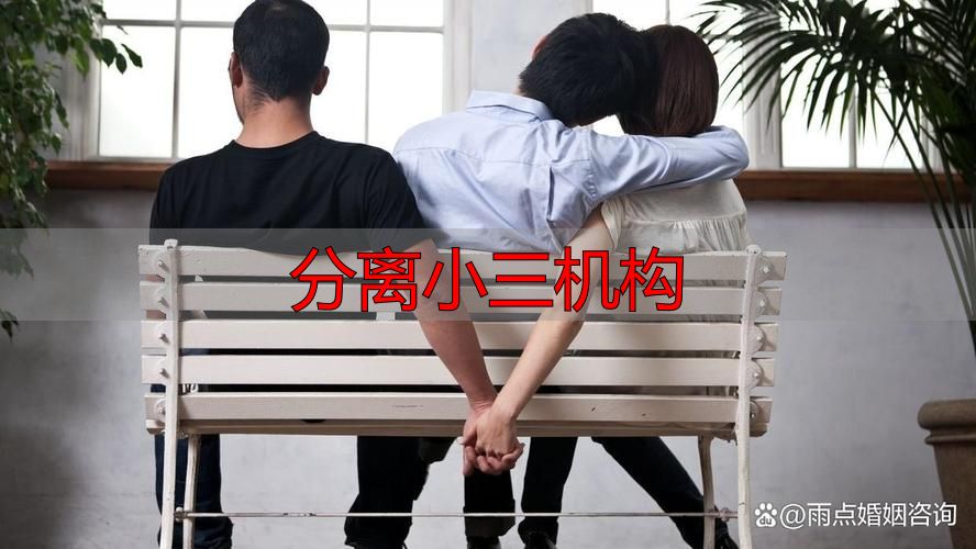 分离小三机构