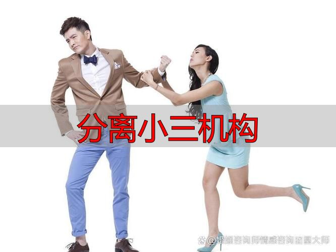 分离小三机构