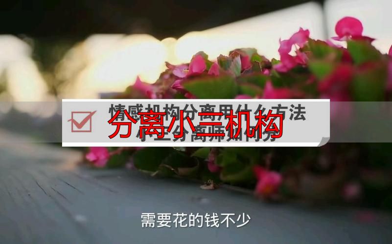 分离小三机构