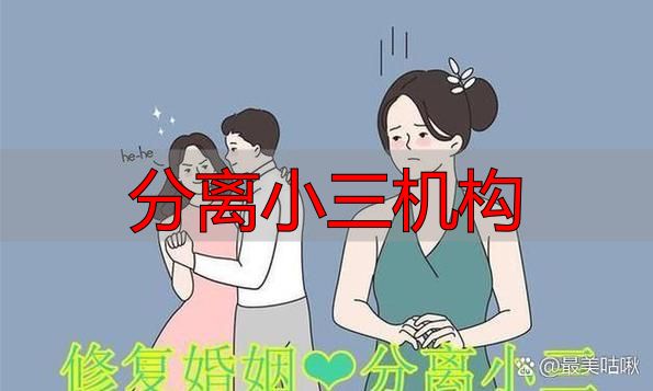 分离小三机构
