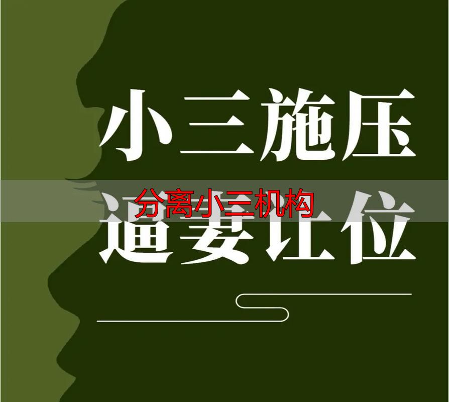 分离小三机构