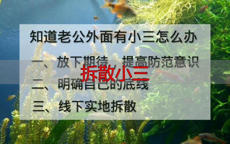 拆散小三
