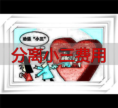分离小三费用