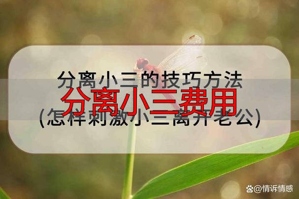 分离小三费用