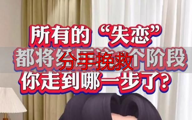 分手挽救