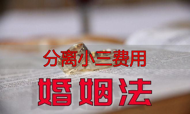 分离小三费用