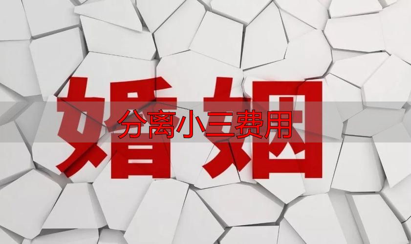 分离小三费用