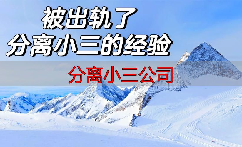 分离小三公司