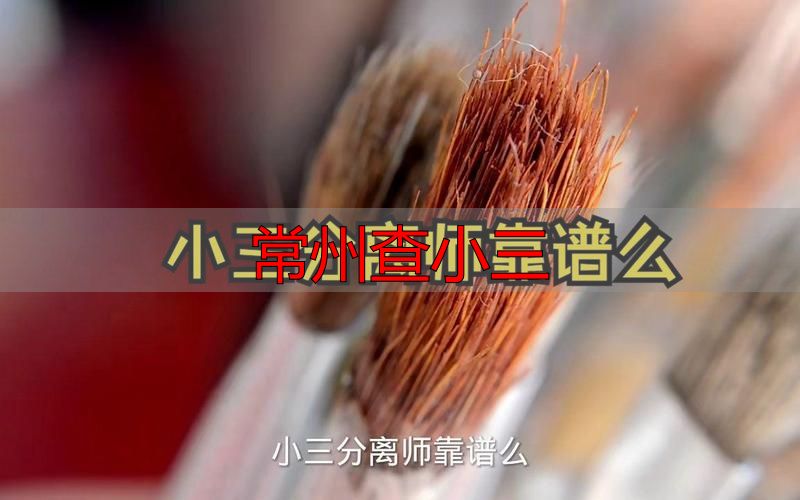 常州查小三
