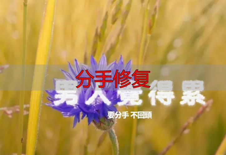 分手修复
