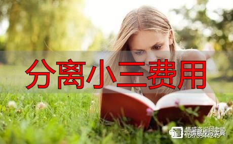 分离小三费用